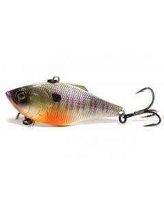 Bluegill Spawn