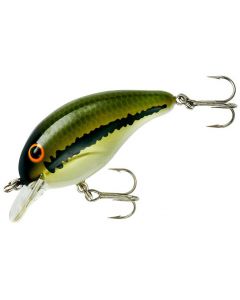 Baby Bass (01)