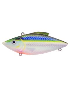 Blue Shiner