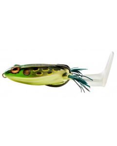 Bullfrog