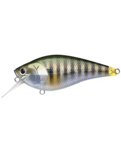 baby bluegill