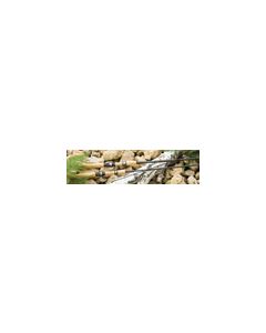 St. Croix Avid Series Spinning Rods