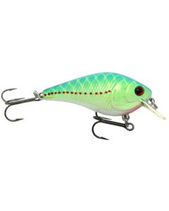 blue chartreuse