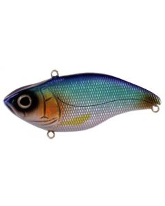 blue shiner